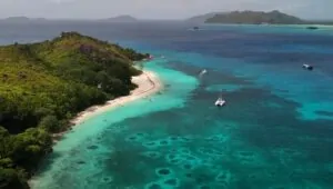 Pristine white sand beach fringed by lush green foliage, turquoise water