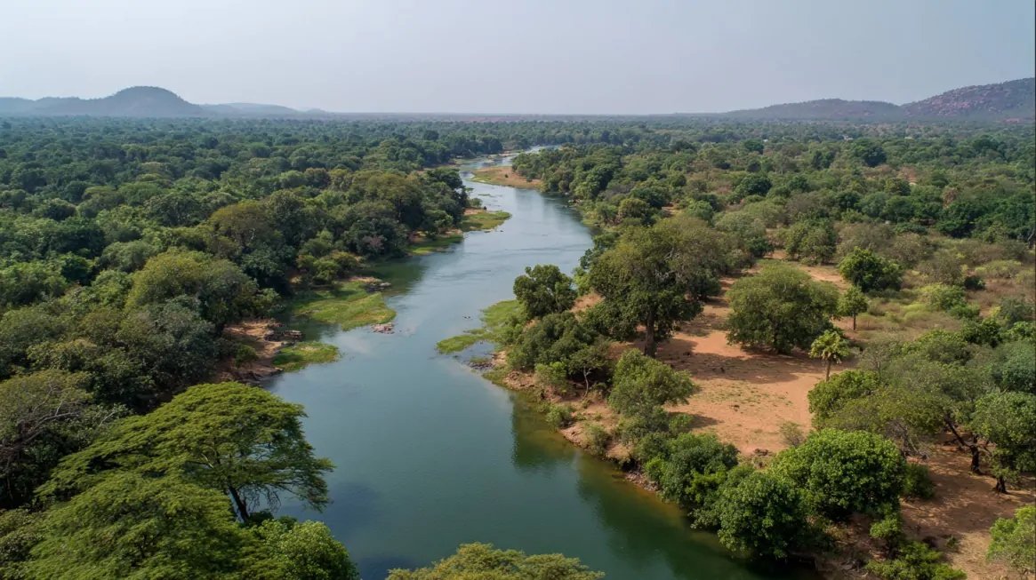 Aerial view of the Gaji River winding through lush green forests in Yankari National Park, Nigeria.