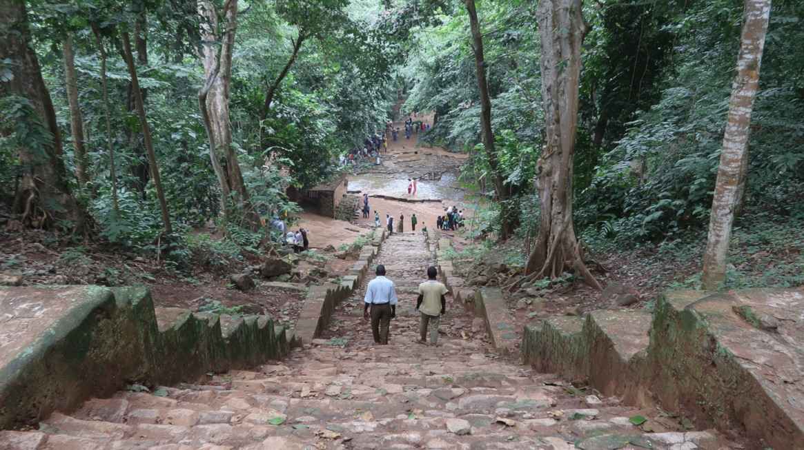 Stone steps leading down through a dense forest toward a river with visitors gathered below
