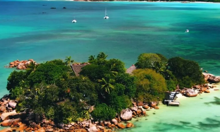 A lush, green island with palm trees and rocky shores sits in a vibrant turquoise ocean